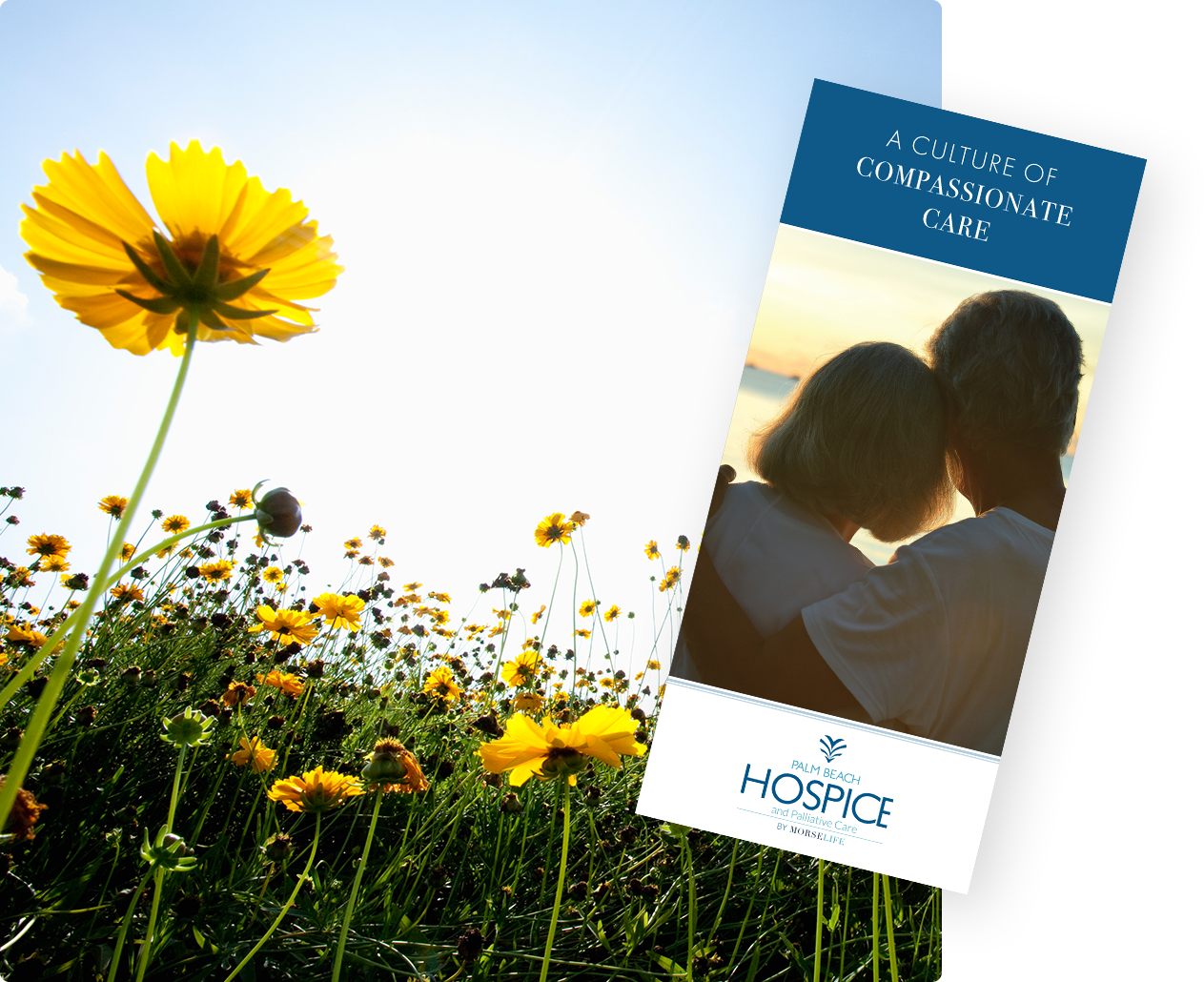 Hospice brochure with yellow flowers, compassionate, end of life care, hope, peace of mind, terminal illness
